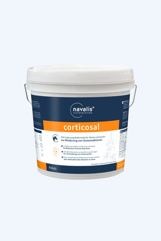 navalis corticosal horse
