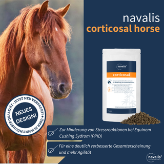 navalis corticosal horse