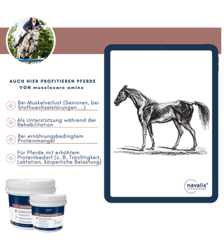 navalis musclecare amino horse Pulver 1,8 kg