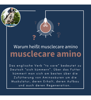 navalis musclecare amino horse Pulver 1,8 kg