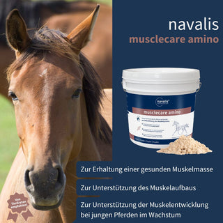 navalis musclecare amino