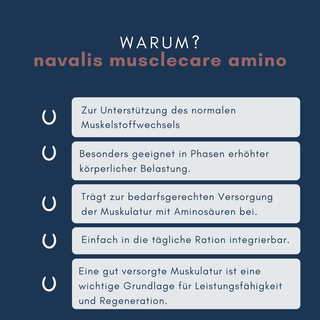 navalis musclecare amino horse