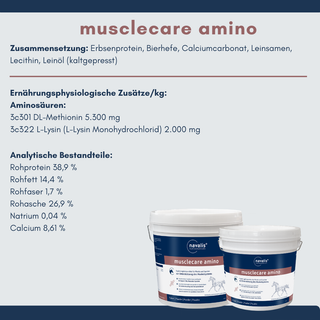 navalis musclecare amino horse