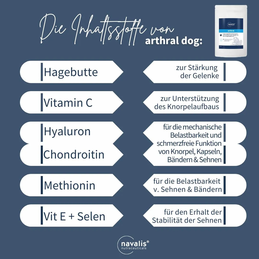 Das sollte bei Gelenkproblemen beim Hund in den Futternapf