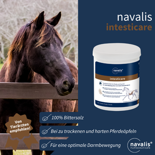 navalis intesticare horse