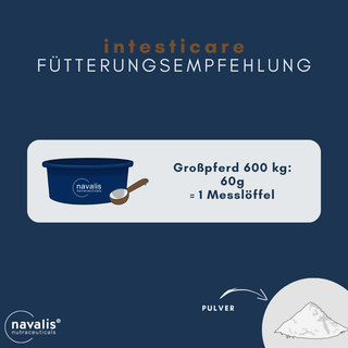 navalis intesticare horse