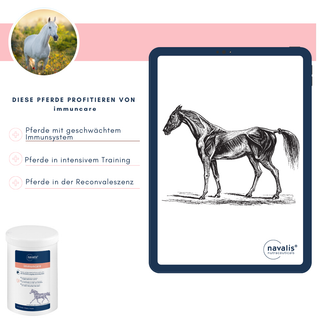navalis immuncare horse