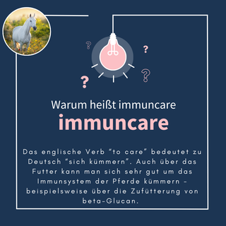 navalis immuncare horse