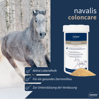navalis coloncare probiotic horse