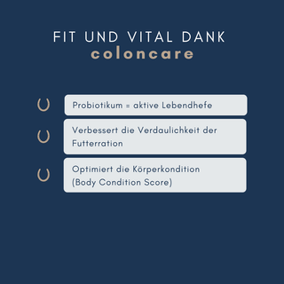 navalis coloncare probiotic horse