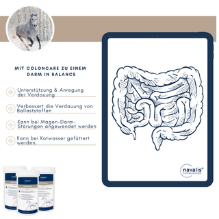 navalis coloncare probiotic horse