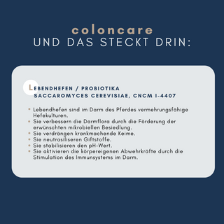 navalis coloncare probiotic horse