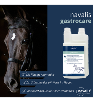 navalis gastrocare horse 1 L