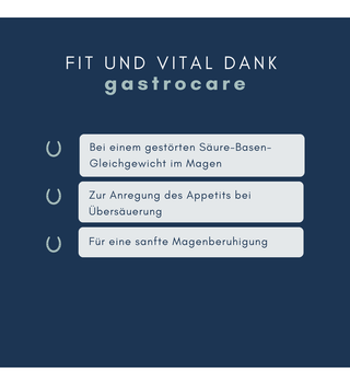 navalis gastrocare horse 1 L