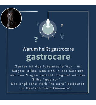 navalis gastrocare horse 1 L