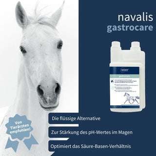 navalis gastrocare