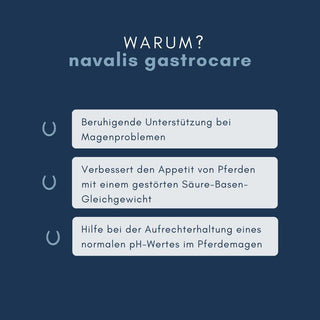 Warum navalis gastrocare