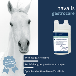 navalis gastrocare horse