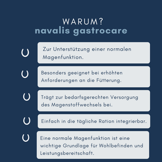 navalis gastrocare horse