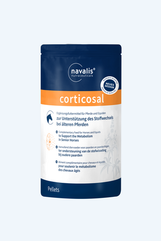 navalis corticosal horse