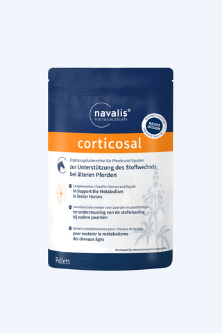 navalis corticosal horse