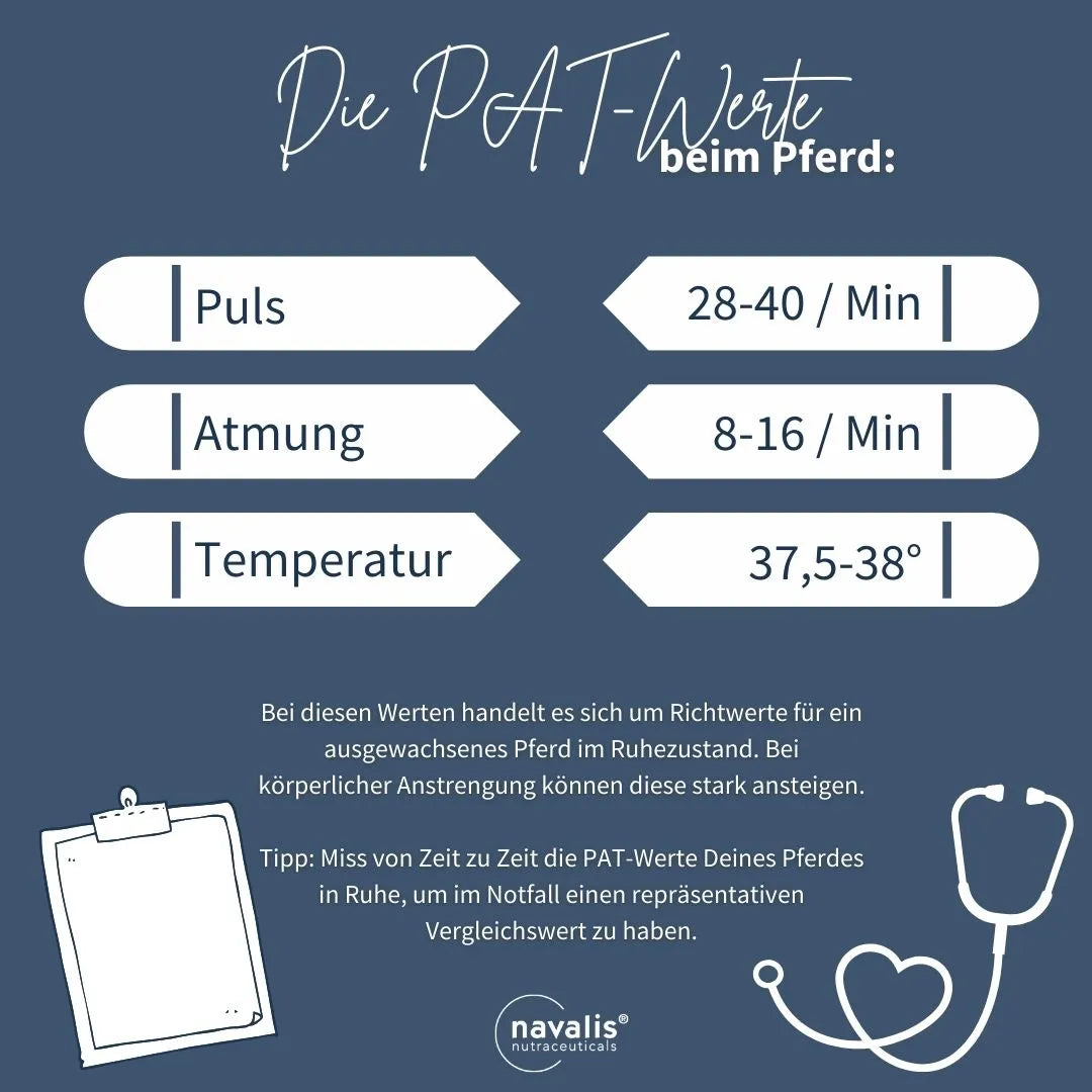 Erste Hilfe-Maßnahmen bei Kreislauf-Beschwerden