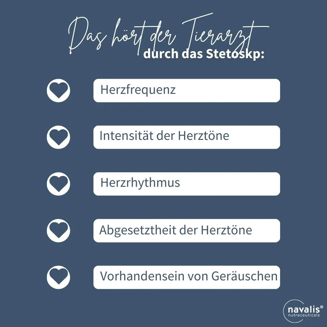 Kreislaufschwäche oder Herzproblem?