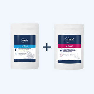 navalis bundle arthral doloral