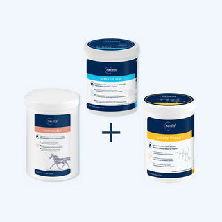 Sparen im Bundle: orthosal Zink horse 750 g, orthosal Vitamin C horse 1,2 kg und immuncare horse 1,2 kg