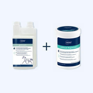 Bundle navalis gastrocare und orthosal Magnesium