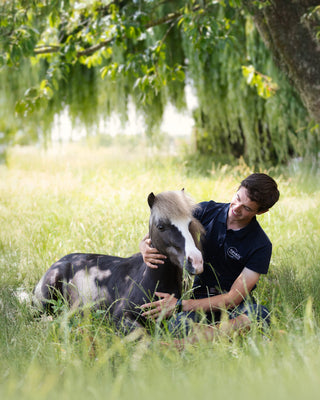 Tierarzt mit Mini-Shetlandpony auf der Wiese – Zuneigung & Gesundheit mit Navalis